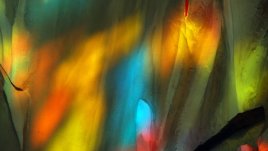 Няколко неочаквано добри цветови комбинации за ремонт