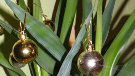 Да подготвим цветята за коледната веселба