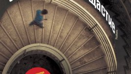 Плъзгане по ръба между лудостта и здравия разум