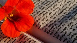 Мисъл на деня