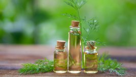 Етерично масло от копър и неговите ползи