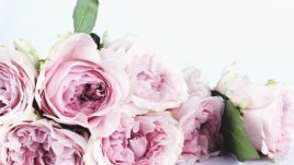 Честит имен ден на Валентин и Валентина!