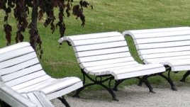 Семейни забавления и игри в парка