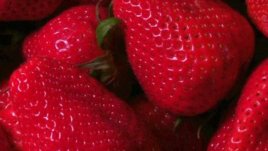 Отминават ягоди, идват кайсии