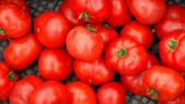 Маска и пилинг за лице с домати