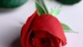 Връзка за една нощ?!