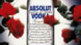 Абсолютна изложба