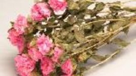 Значението на цветята