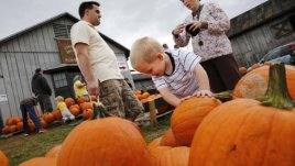 На пазар: хубавата тиква е тежката тиква