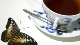 4 билки, които помагат при хемороиди