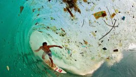 Знаете ли, че... в океана има приблизително 7 милиарда килограма боклук?