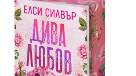 „Дива любов“ от Елси Силвър