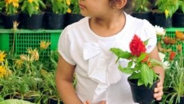 Как да пестим вода, когато поливаме цветята в жегите