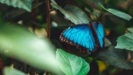 Мисъл на деня за... промяната