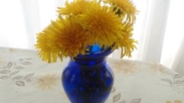 Усмихнете дома с глухарчета