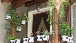 Висящите кошници – цвят и настроение