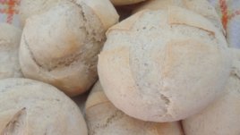 Обикновени хлебчета