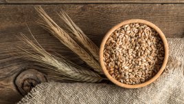 Как протича един ден на житния режим на Петър Дънов