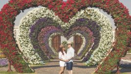 Мисъл на деня за... думите и любовта