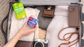 Bactology: спокойни на път към мечтаната дестинация