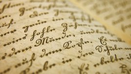 Мисъл на деня