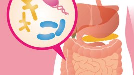 3 причини балансът на чревната флора да е от значение