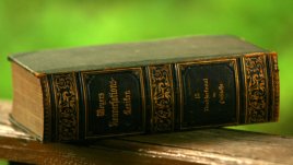 Мисъл на деня от Оскар Уайлд