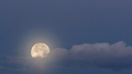 Лунна диета – януари 2009