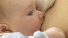 Кърменето не е неприлично