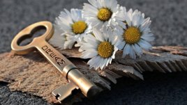 Мисъл на деня за... мечтите