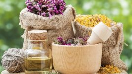 4 билки, регулиращи хормоните