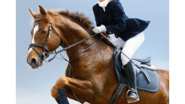 „Повелителката на конете“ – Джоджо Мойс