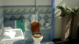 Вредни бактерии в банята