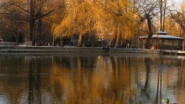 „Поетично кафене“ кани на кафе с поезия