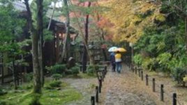 Есенна емоция