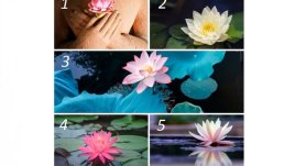 Изберете си лотос и вижте посланието, което ви носи