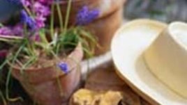 Април - грижа за растенията