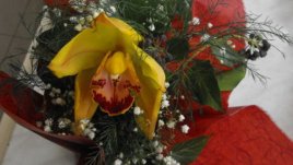 Букет или цвете в саксия за празника