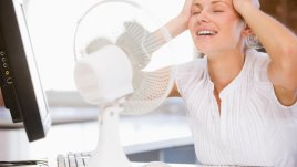 Как да оцелеете в жегите?