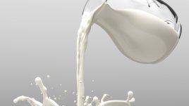 Защо възрастните не трябва да консумират прясно мляко?