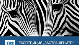 Какво е да си пазител на дивата природа – в поредица „Експедиция „Застрашените“