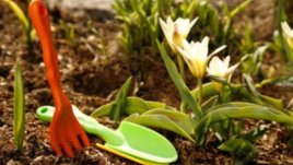 Градинарски фитнес и пролетен шопинг през уикенда