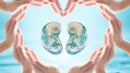 Бъбрекът страда тихо: 9 от 10 души с бъбречно заболяване не знаят, че го имат