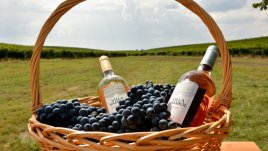 Пием българско розе – световен медалист от Бордо