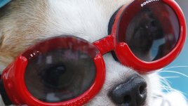 Слънчевите очила – лукс или необходимост през зимата