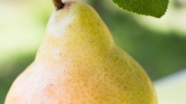 Подхранваща маска с круши