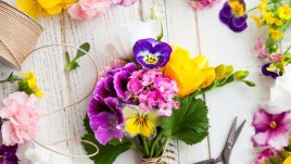 26 август – Честит имен ден на Адриан и Наталия!