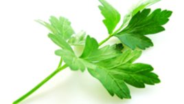 Магданозът е вълшебната съставка в една връзка!