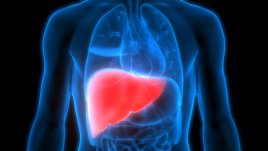 Как да се храните при омазнен черен дроб