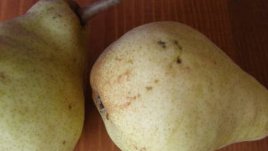 Крушата – вкусна, сочна и желана